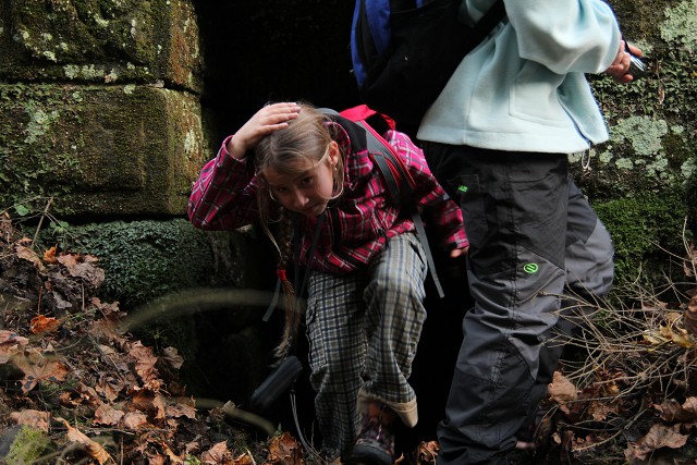 C22113 05-11-2014 Teplice nad Metují skály.jpg